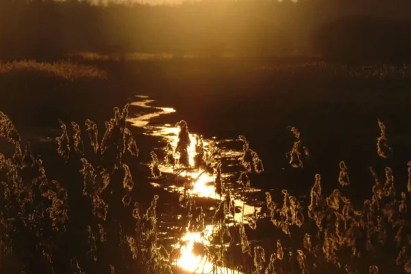 Młodzi filmowcy z gminy stworzyli film dzięki Fundacji ORLEN