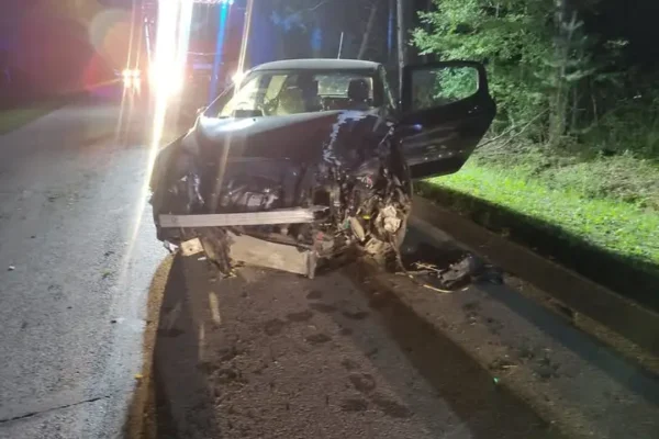 Utrudnienia na drodze Włoszczowa – Oleszno po uderzeniu auta w drzewo