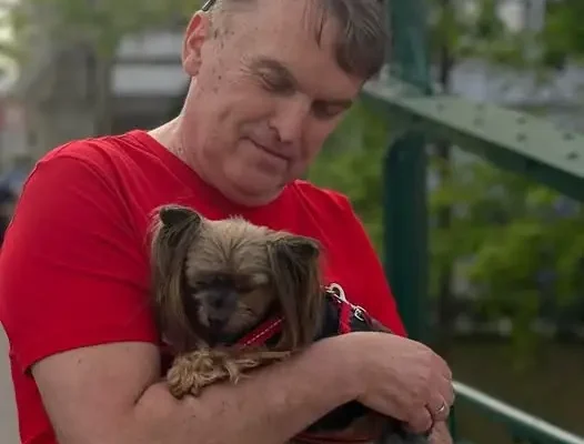 Międzynarodowy Dzień Psa: Nadleśnictwo Włoszczowa zachęca do adopcji i miłości do zwierząt