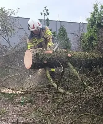 Piknik rodzinny we Włoszczowie: strażacy przygotowali teren przy plebanii