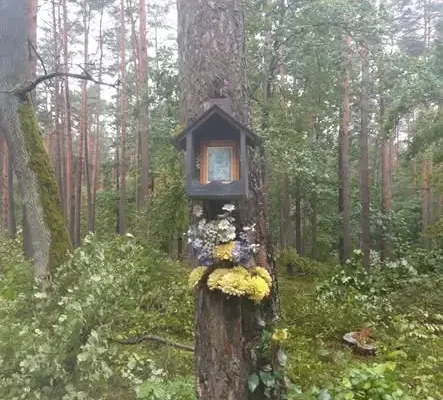 8 września: Święto Matki Boskiej Siewnej i leśne tradycje