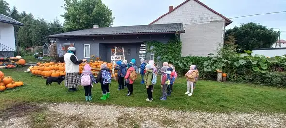 Przedszkolaki ze Kluczewska odkrywały jesień na farmie „Stacja Dynia”