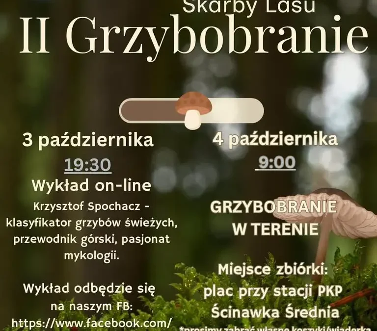 Radków: Październikowe Wyzwanie Czytelnicze i spacer „Skarby Lasu II”
