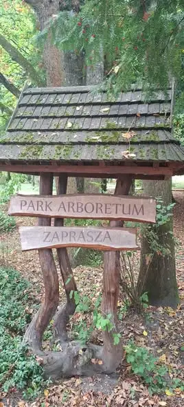 Arboretum w Czarncy koło Włoszczowy – jesienne piękno i dziedzictwo leśnika Mariana Chudzińskiego